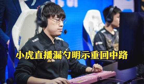 联盟最新爆料小虎是谁啊,揭秘神秘角色“小虎”的真实身份！